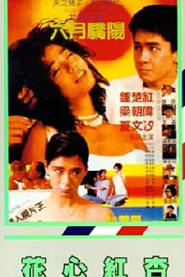 在线免费观看黄色网址