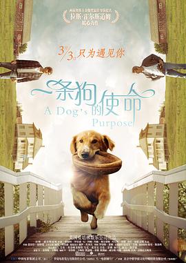 欧美一区二区三区四区久久