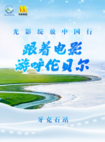性欧美激情在线观看