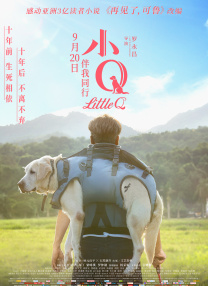伦理电线在2019